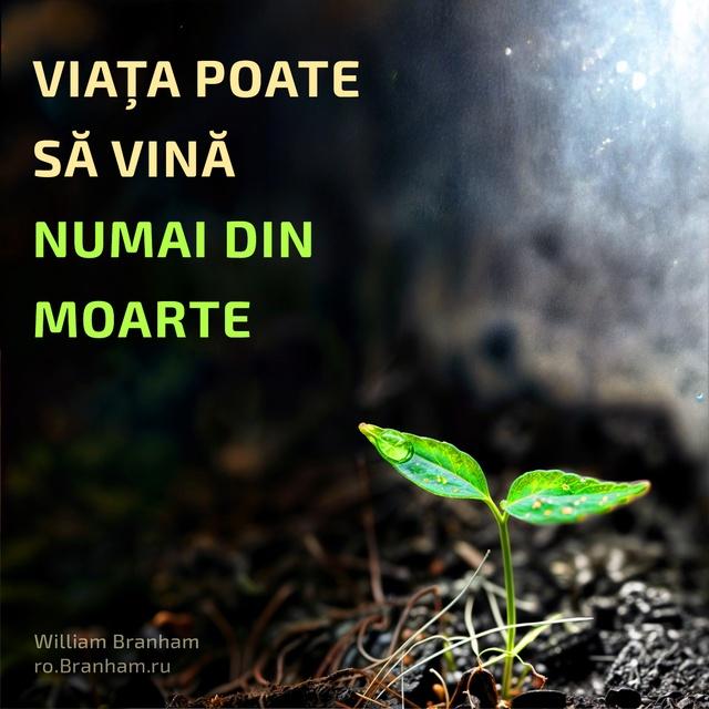 Картинка цитаты