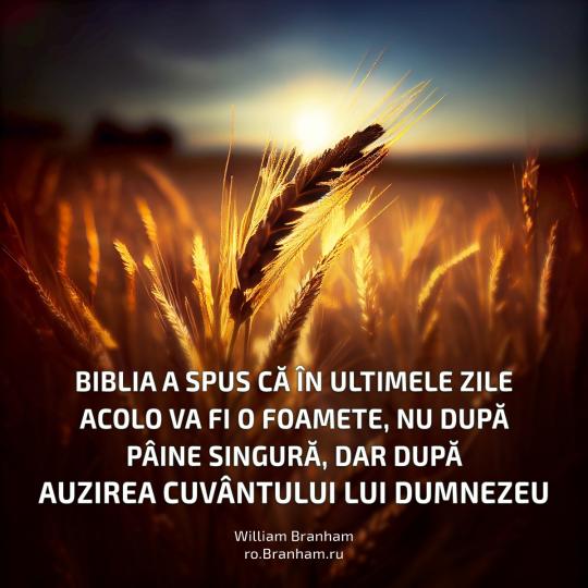 Картинка цитаты