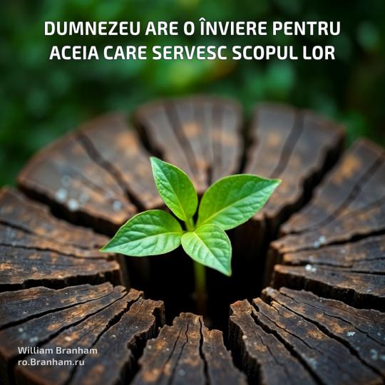 Картинка цитаты