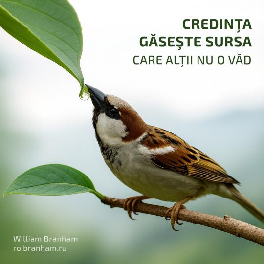 Картинка цитаты