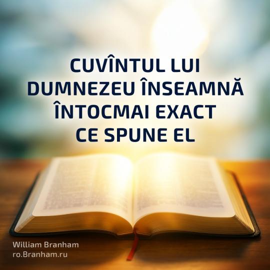 Картинка цитаты