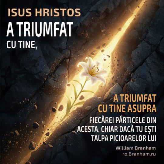 Картинка цитаты