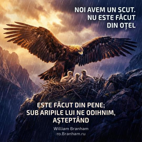 Картинка цитаты