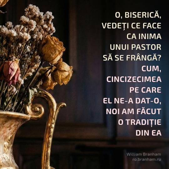 Картинка цитаты