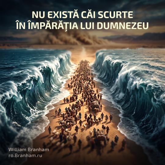 Картинка цитаты