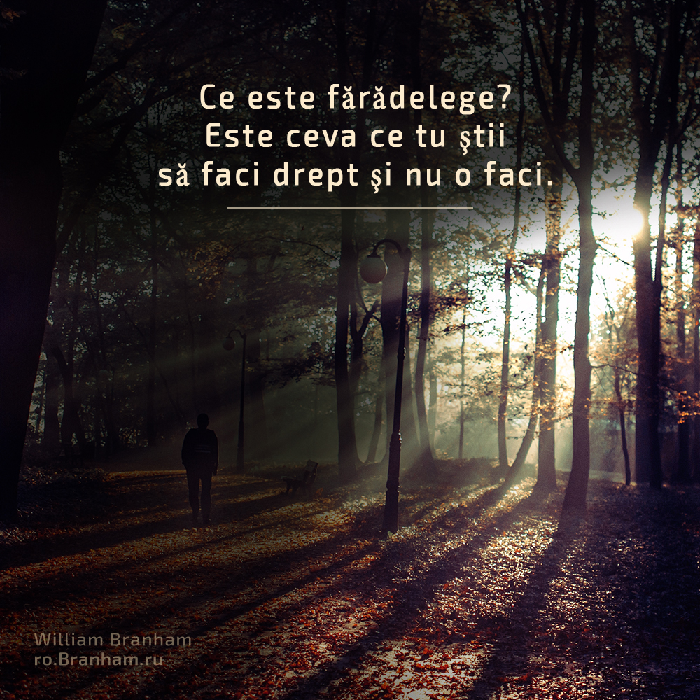 Картинка цитаты