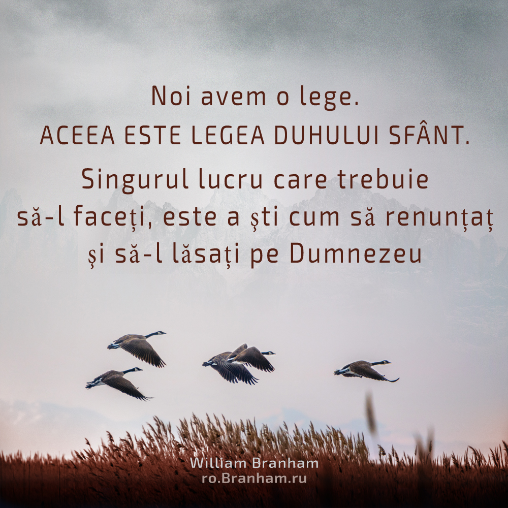 Картинка цитаты