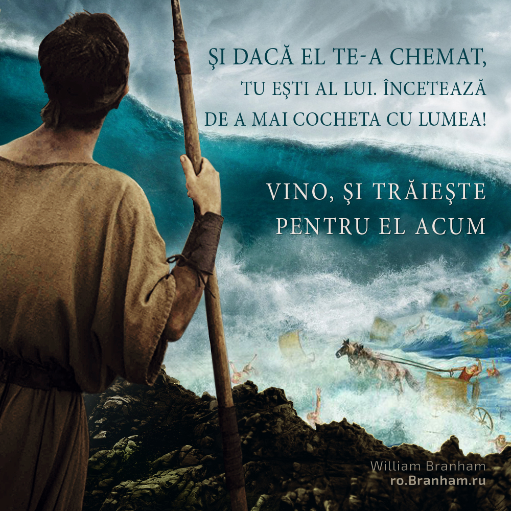 Картинка цитаты